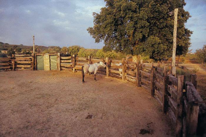 Casa Rural Finca Valvellidos Jaraiz de la Vera Kültér fotó